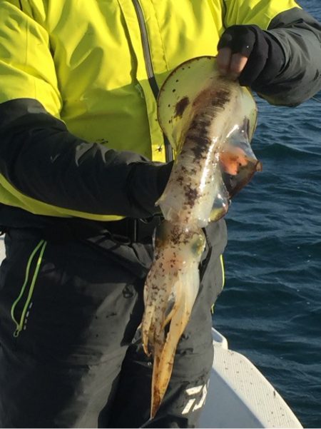 「LaGooN」蒼陽丸 日和号 釣果