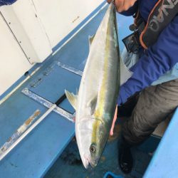 ヤザワ渡船 釣果