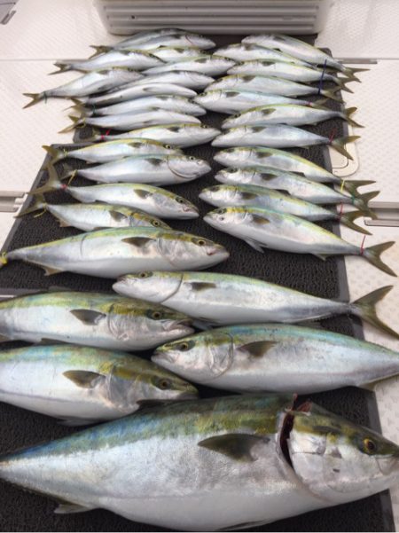 ビッグファイター 釣果