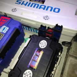 龍神丸(鹿児島) 釣果