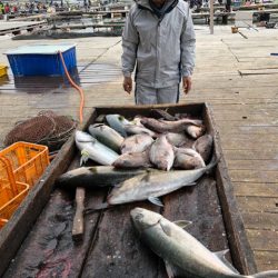 釣り堀水宝 釣果