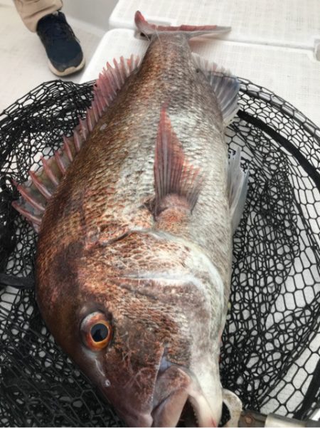 龍神丸(鹿児島) 釣果