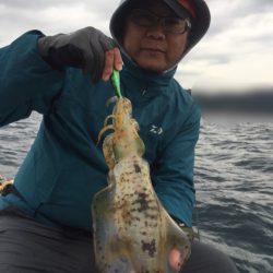 「LaGooN」蒼陽丸 日和号 釣果