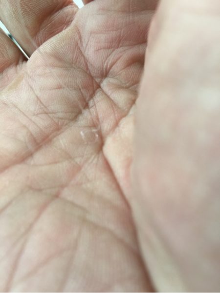 末広丸(熊本) 釣果