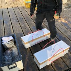 釣り堀水宝 釣果