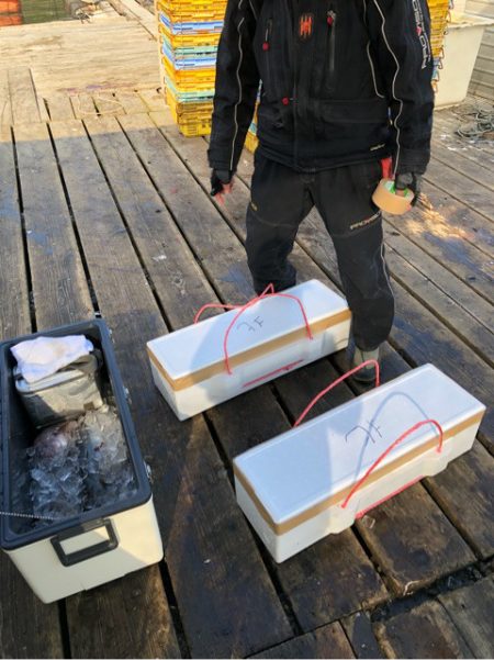 釣り堀水宝 釣果