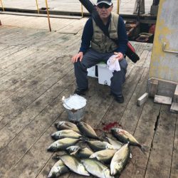 釣り堀水宝 釣果