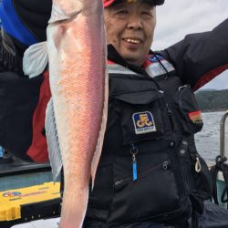 渡船屋たにぐち 釣果