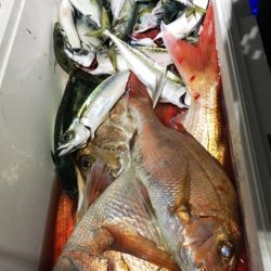 龍神丸(鹿児島) 釣果