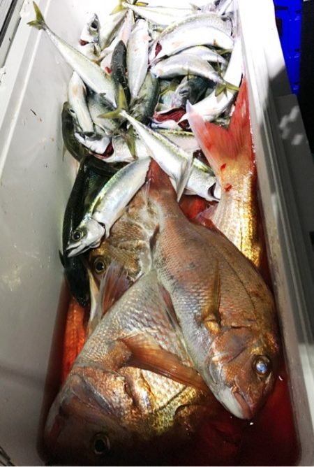 龍神丸(鹿児島) 釣果