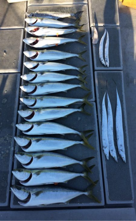 SeaRide(シーライド) 釣果