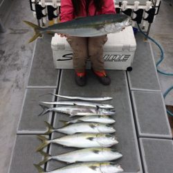 SeaRide(シーライド) 釣果