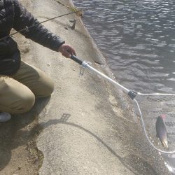 平谷湖フィッシングスポット 釣果