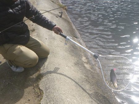 平谷湖フィッシングスポット 釣果