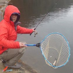 平谷湖フィッシングスポット 釣果