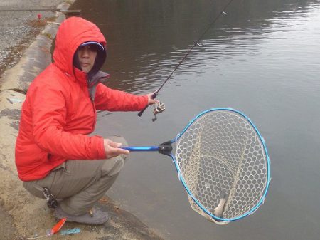 平谷湖フィッシングスポット 釣果