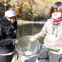 平谷湖フィッシングスポット 釣果