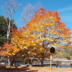 平谷湖フィッシングスポット 釣果