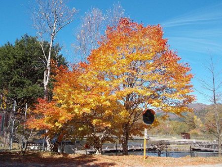 平谷湖フィッシングスポット 釣果