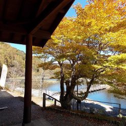 平谷湖フィッシングスポット 釣果