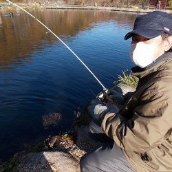 平谷湖フィッシングスポット 釣果