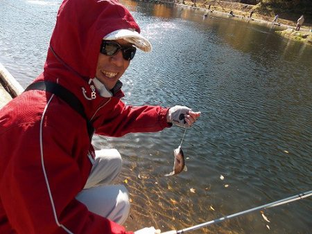 平谷湖フィッシングスポット 釣果