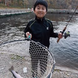 平谷湖フィッシングスポット 釣果