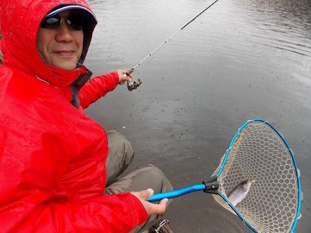 平谷湖フィッシングスポット 釣果