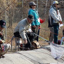 平谷湖フィッシングスポット 釣果