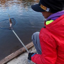平谷湖フィッシングスポット 釣果