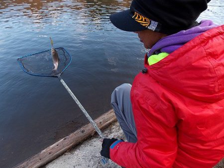 平谷湖フィッシングスポット 釣果