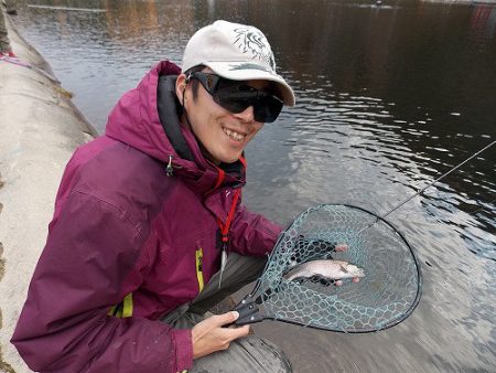 平谷湖フィッシングスポット 釣果