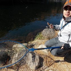 平谷湖フィッシングスポット 釣果