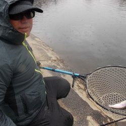 平谷湖フィッシングスポット 釣果