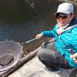 平谷湖フィッシングスポット 釣果