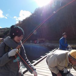 平谷湖フィッシングスポット 釣果