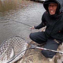 平谷湖フィッシングスポット 釣果