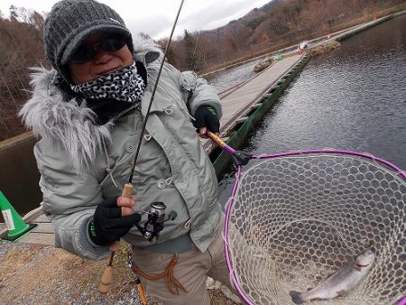 平谷湖フィッシングスポット 釣果
