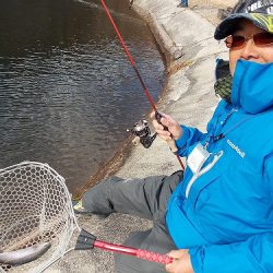 平谷湖フィッシングスポット 釣果