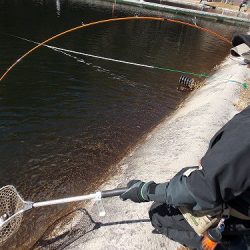 平谷湖フィッシングスポット 釣果