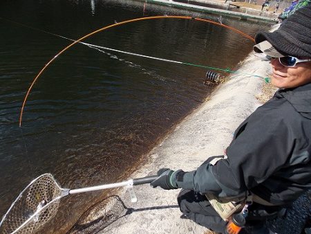 平谷湖フィッシングスポット 釣果