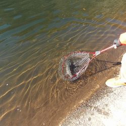 平谷湖フィッシングスポット 釣果