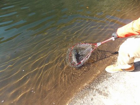 平谷湖フィッシングスポット 釣果