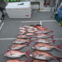 ARCADIAⅡ (アルカディアⅡ) 釣果