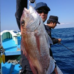 だて丸 釣果