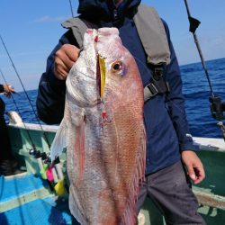 だて丸 釣果