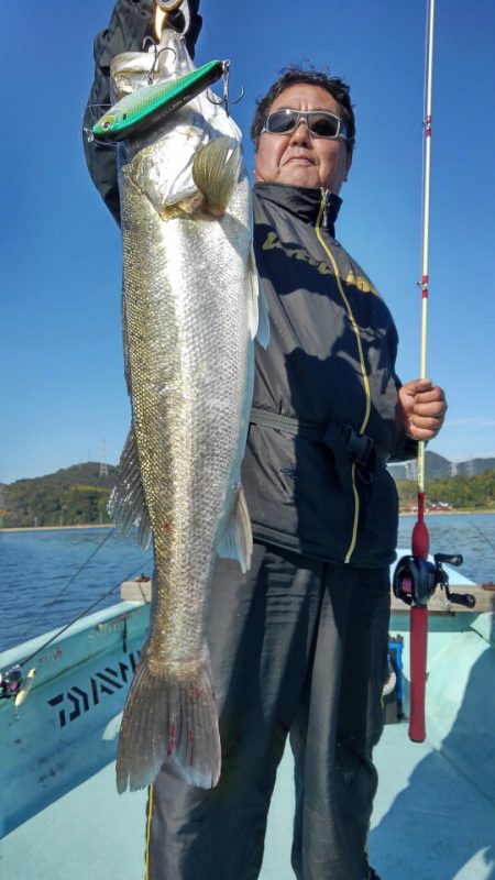 アマテラス 釣果