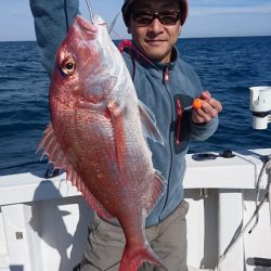 ARCADIAⅡ (アルカディアⅡ) 釣果