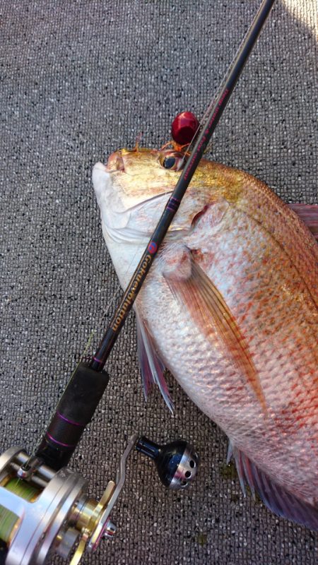 ARCADIAⅡ (アルカディアⅡ) 釣果