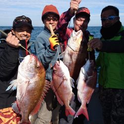 ARCADIAⅡ (アルカディアⅡ) 釣果